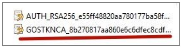 31 ЭЦП ЭСФ.jpg